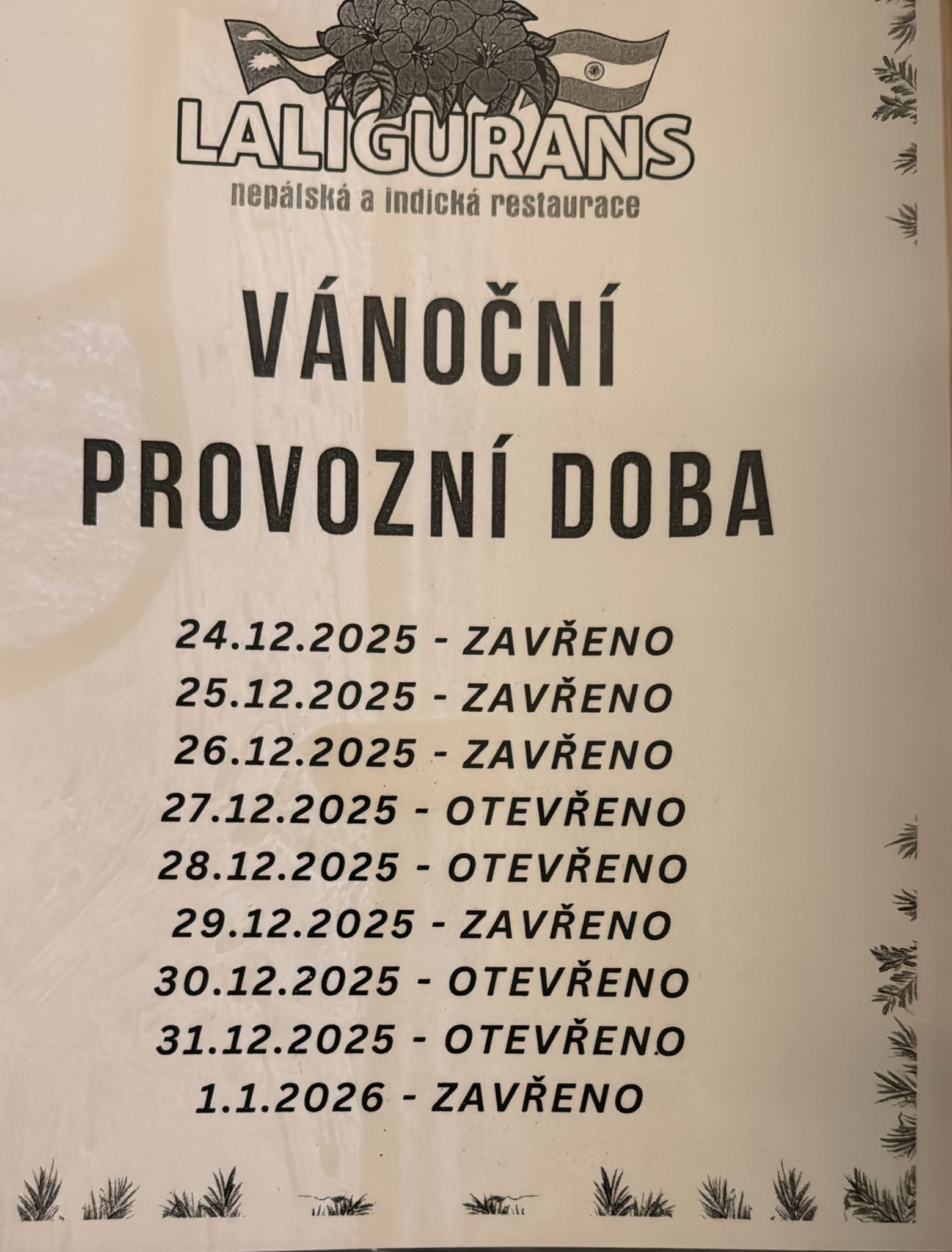 Christmas & New Year Celebration